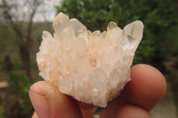 Natural Clear Quartz Crystal Clusters x 35 From Madagascar - Toprock Gemstones and Minerals 
