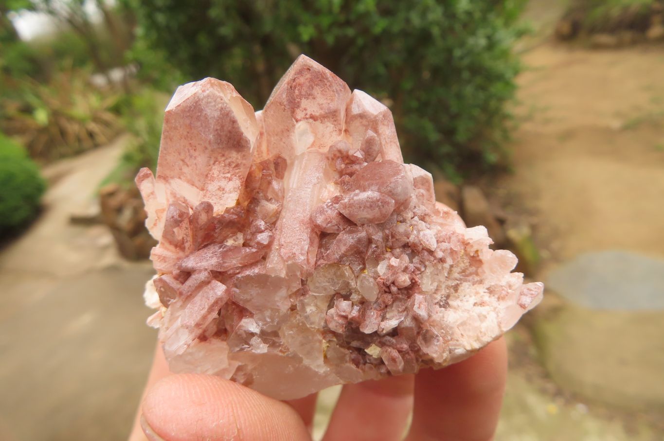 Natural Clear Quartz Crystal Clusters x 35 From Madagascar - Toprock Gemstones and Minerals 