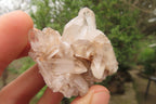 Natural Clear Quartz Crystal Clusters x 35 From Madagascar - Toprock Gemstones and Minerals 