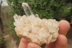 Natural Clear Quartz Crystal Clusters x 35 From Madagascar - Toprock Gemstones and Minerals 