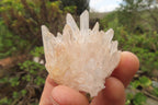 Natural Clear Quartz Crystal Clusters x 35 From Madagascar - Toprock Gemstones and Minerals 