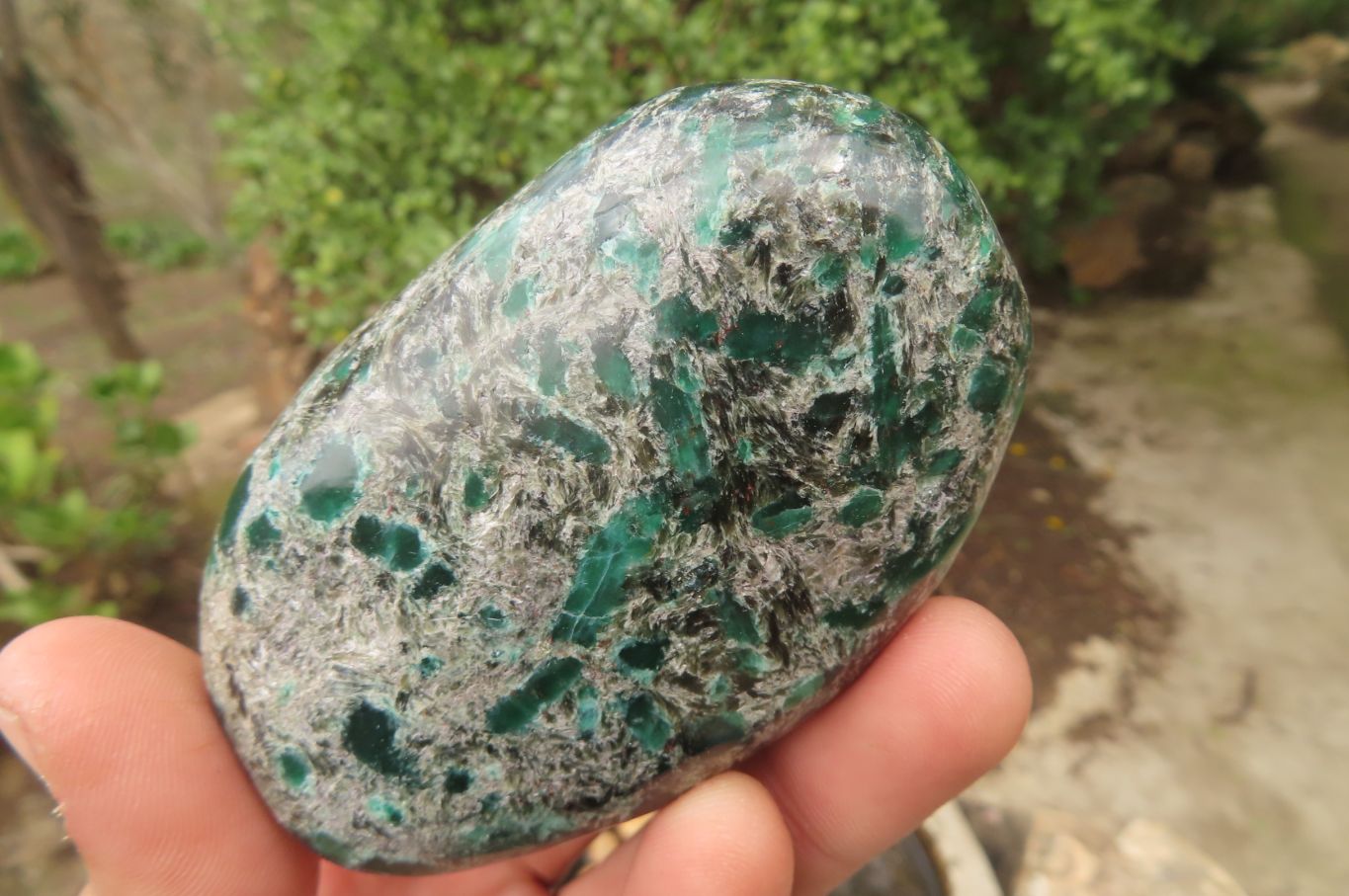 Polished Rare Emerald Mica In Matrix Free Forms x 6 From Mutoko, Zimbabwe - Toprock Gemstones and Minerals 