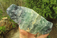Natural Watermelon Fluorite Cobbed Specimens x 4 From Uis, Namibia - Toprock Gemstones and Minerals 