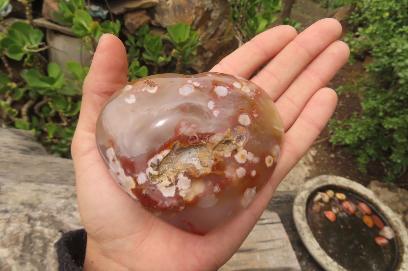 Polished Flower Agate Hearts x 6 From Antsahalova, Madagascar - Toprock Gemstones and Minerals 