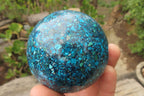 Polished Chrysocolla Conglomerate Spheres x 2 From Congo - Toprock Gemstones and Minerals 