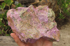 Natural Stichtite Specimens x 2 From Barberton, South Africa - Toprock Gemstones and Minerals 