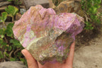 Natural Stichtite Specimens x 2 From Barberton, South Africa - Toprock Gemstones and Minerals 