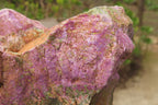 Natural Stichtite Specimens x 2 From Barberton, South Africa - Toprock Gemstones and Minerals 