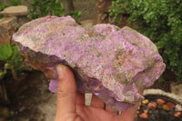 Natural Stichtite Specimens x 2 From Barberton, South Africa - Toprock Gemstones and Minerals 