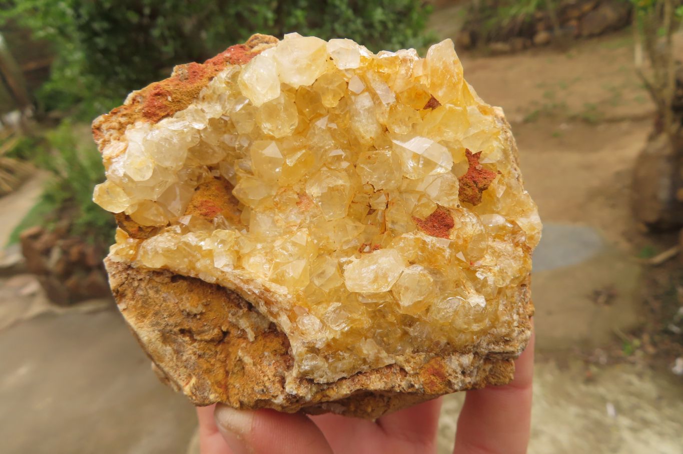 Natural Limonite Quartz Specimens x 12 From Zambia - Toprock Gemstones and Minerals 