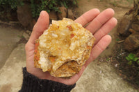 Natural Limonite Quartz Specimens x 12 From Zambia