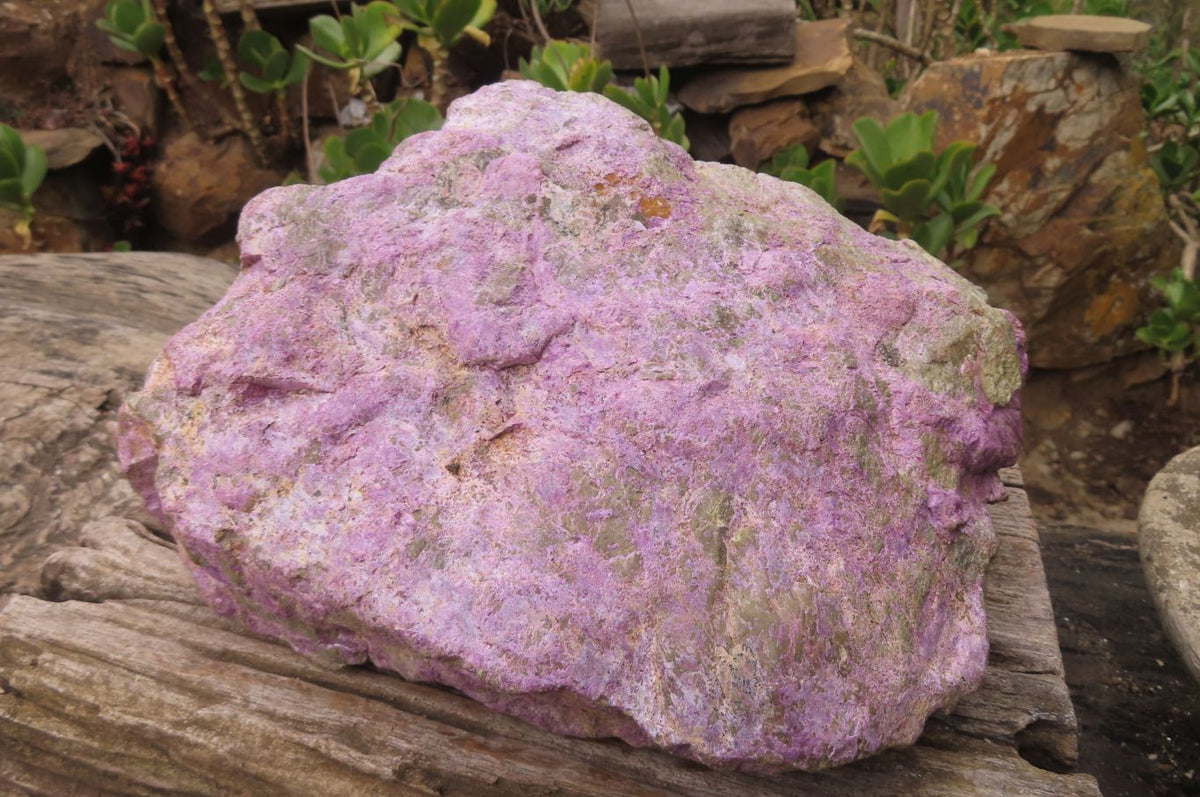 Natural Stichtite Specimen x 1 From Barberton, South Africa - Toprock Gemstones and Minerals 