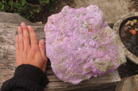 Natural Stichtite Specimen x 1 From Barberton, South Africa - Toprock Gemstones and Minerals 