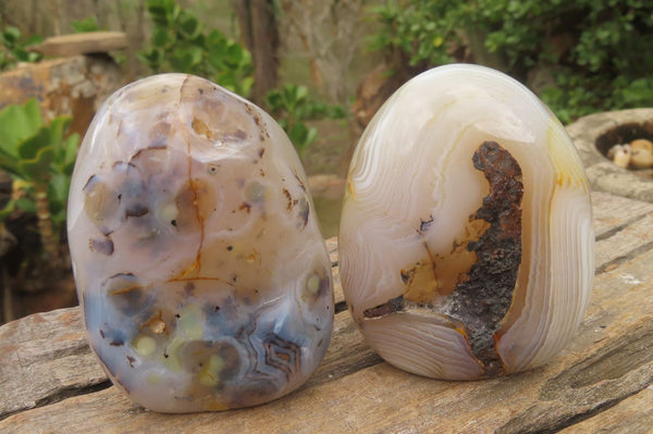 Polished Dendritic Agate Standing Free Forms x 6 From Madagascar