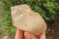 Polished Partially Arcadian Quartz Crystals x 3 From Angola - Toprock Gemstones and Minerals 