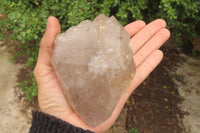 Polished Partially Arcadian Quartz Crystals x 3 From Angola - Toprock Gemstones and Minerals 