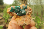 Natural Dioptase On Dolomite Specimens x 6 From Likasi, Congo - Toprock Gemstones and Minerals 