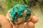 Natural Dioptase On Dolomite Specimens x 6 From Likasi, Congo - Toprock Gemstones and Minerals 