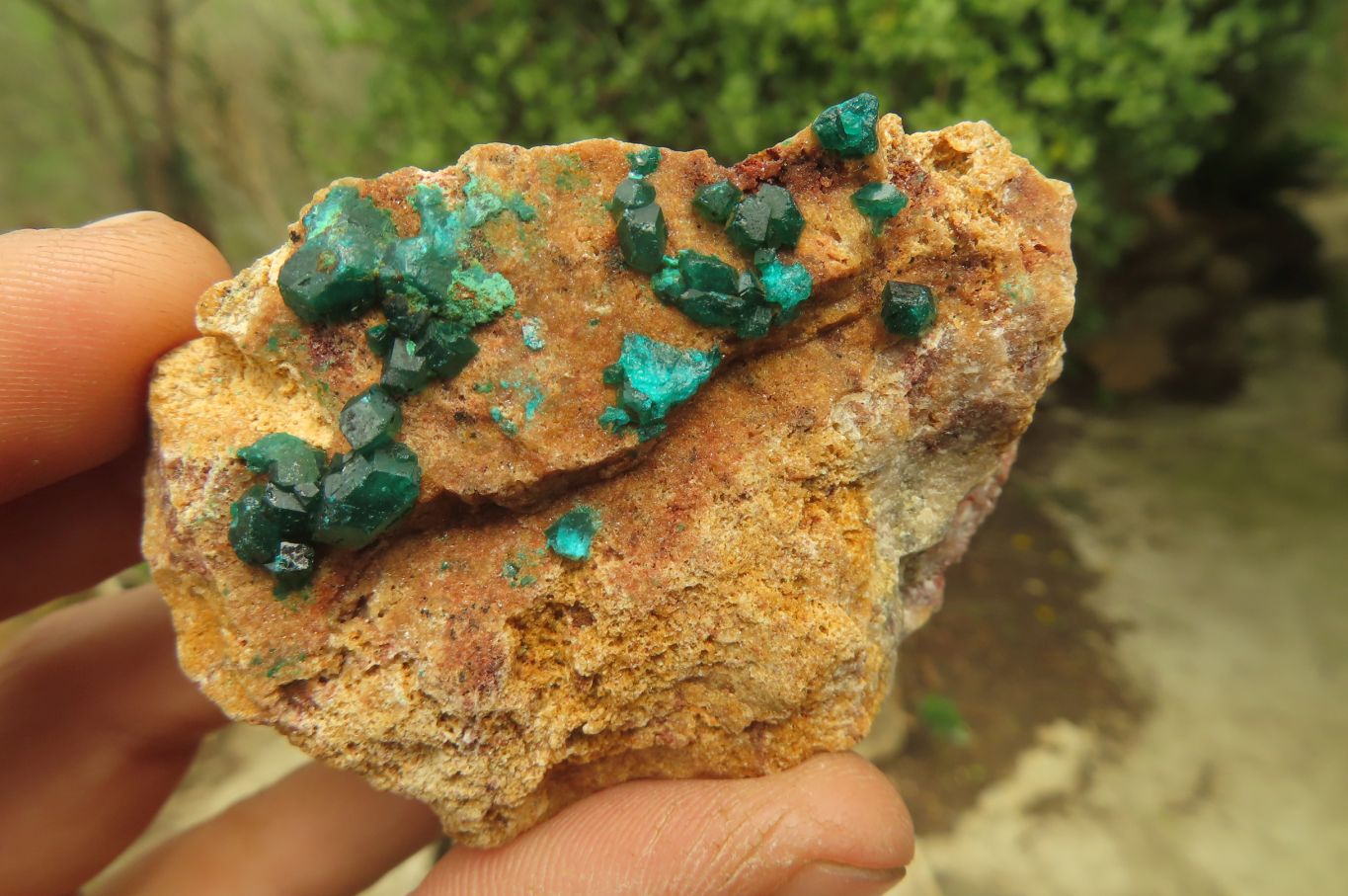 Natural Dioptase On Dolomite Specimens x 6 From Likasi, Congo - Toprock Gemstones and Minerals 