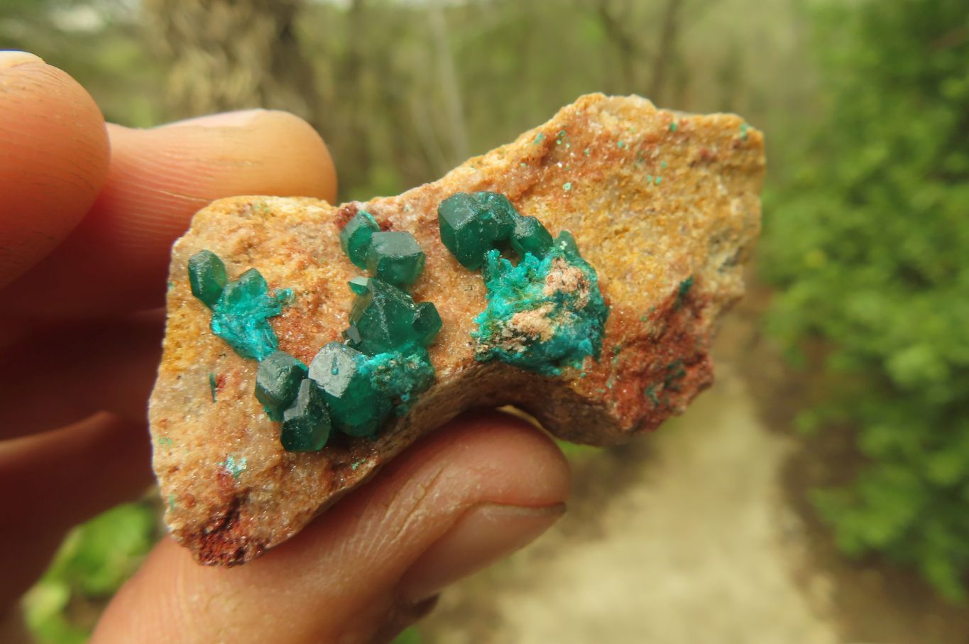 Natural Dioptase On Dolomite Specimens x 6 From Likasi, Congo - Toprock Gemstones and Minerals 