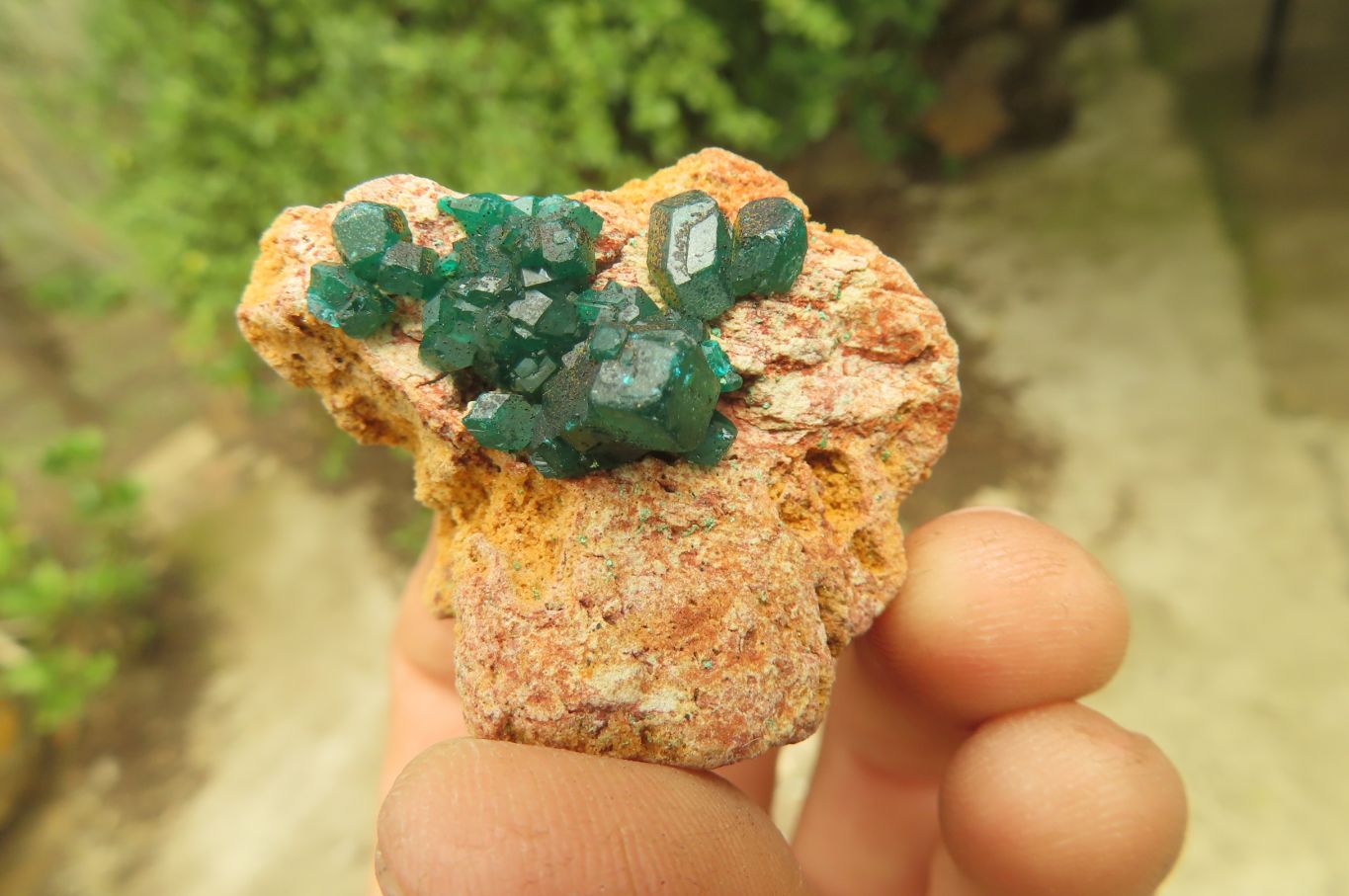 Natural Dioptase On Dolomite Specimens x 6 From Likasi, Congo - Toprock Gemstones and Minerals 