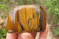 Polished Tiger's Eye Free Forms x 6 From Prieska, South Africa