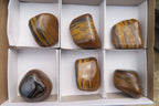 Polished Tiger's Eye Free Forms x 6 From Prieska, South Africa - Toprock Gemstones and Minerals 