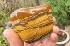 Polished Tiger's Eye Free Forms x 6 From Prieska, South Africa - Toprock Gemstones and Minerals 