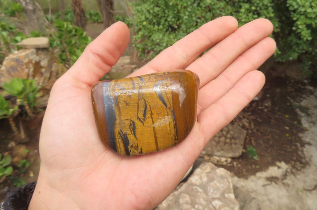 Polished Tiger's Eye Free Forms x 6 From Prieska, South Africa - Toprock Gemstones and Minerals 