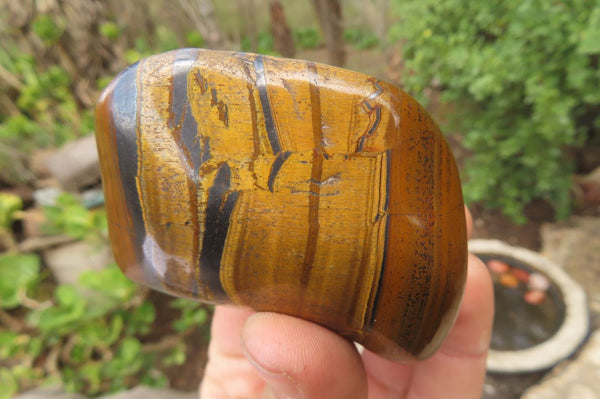 Polished Tiger's Eye Free Forms x 6 From Prieska, South Africa