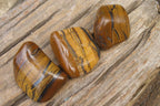 Polished Tiger's Eye Free Forms x 6 From Prieska, South Africa - Toprock Gemstones and Minerals 