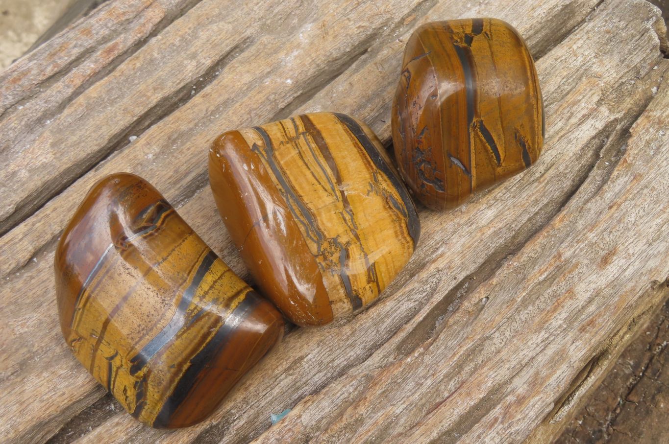 Polished Tiger's Eye Free Forms x 6 From Prieska, South Africa - Toprock Gemstones and Minerals 