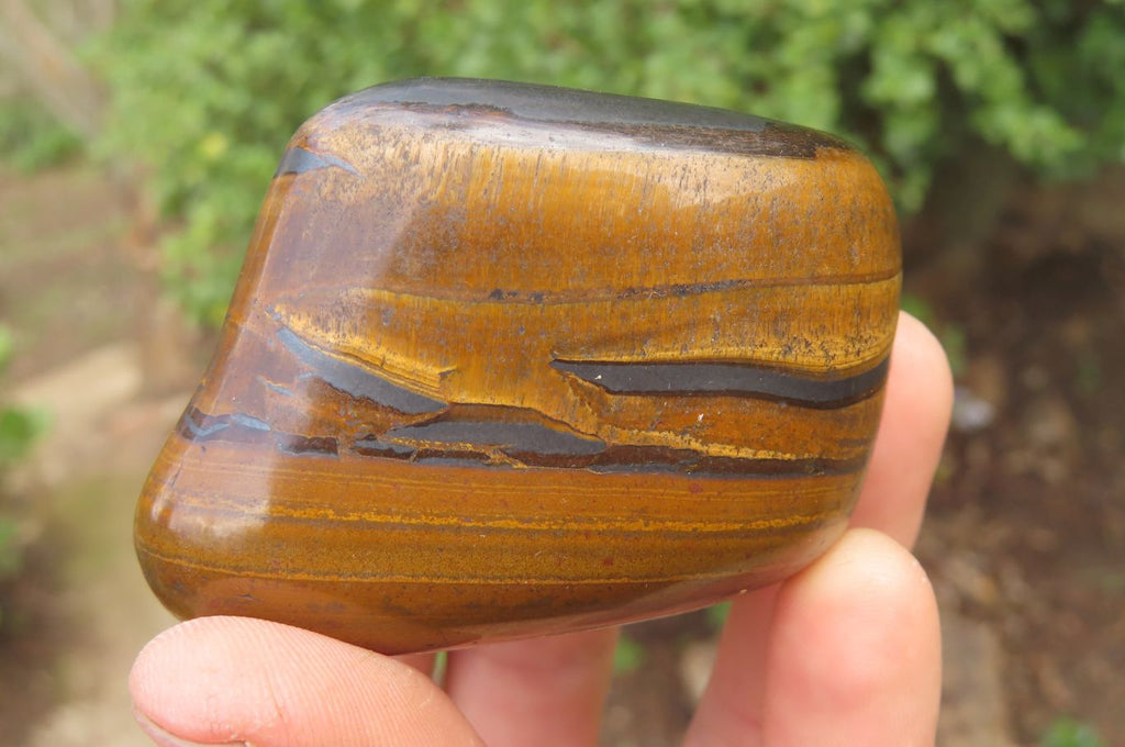 Polished Tiger's Eye Free Forms x 6 From Prieska, South Africa - Toprock Gemstones and Minerals 