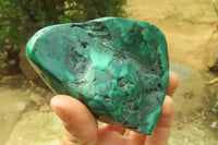 Polished Flower Banded Malachite Free Forms x 3 From Congo - Toprock Gemstones and Minerals 