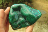 Polished Flower Banded Malachite Free Forms x 3 From Congo - Toprock Gemstones and Minerals 