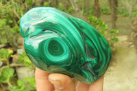 Polished Flower Banded Malachite Free Forms x 3 From Congo - Toprock Gemstones and Minerals 