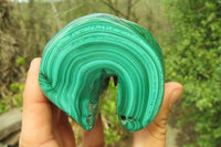 Polished Flower Banded Malachite Free Forms x 3 From Congo - Toprock Gemstones and Minerals 