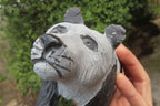 Hand Made Wonder Stone Panda Carving x 1 From Zimbabwe - Toprock Gemstones and Minerals 