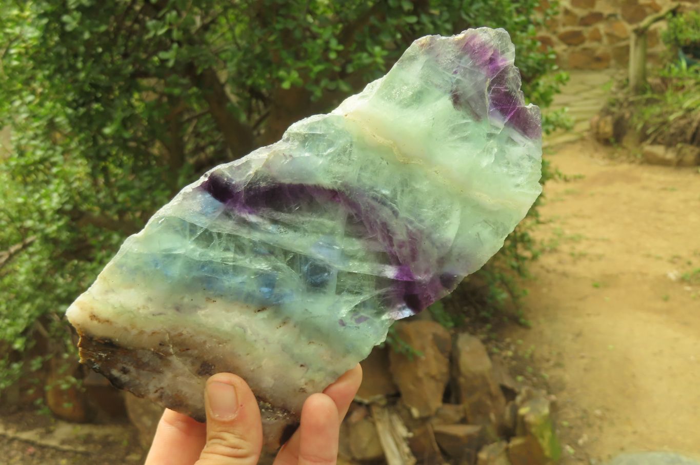 Polished Watermelon Fluorite Slices x 2 From Namibia - Toprock Gemstones and Minerals 