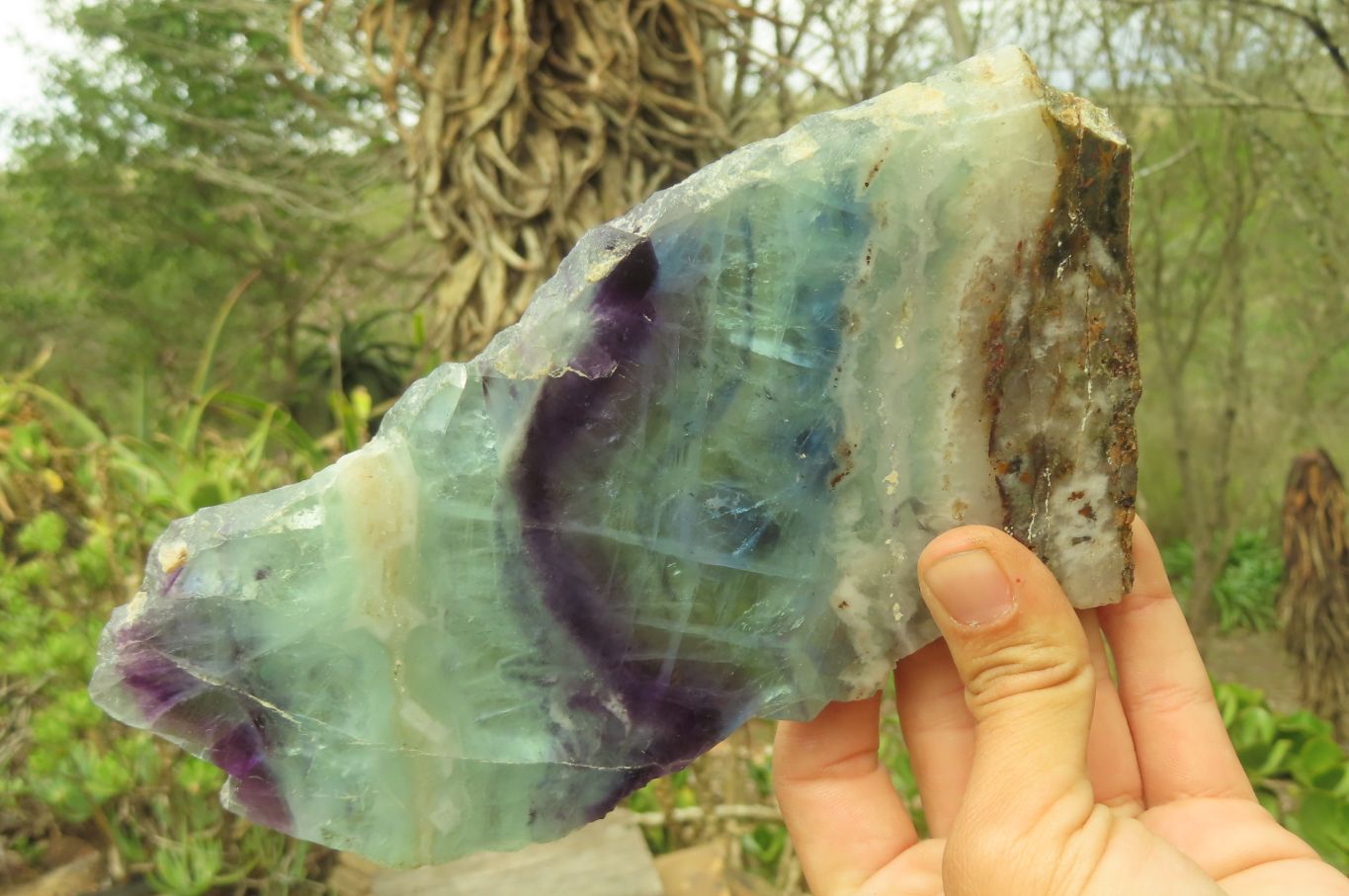 Polished Watermelon Fluorite Slices x 2 From Namibia - Toprock Gemstones and Minerals 
