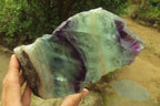 Polished Watermelon Fluorite Slices x 2 From Namibia - Toprock Gemstones and Minerals 