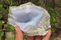 Natural Blue Lace Agate Geode Specimens x 5 From Malawi - Toprock Gemstones and Minerals 