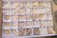Natural Clear Quartz Clusters x 35 From Madagascar - Toprock Gemstones and Minerals 