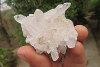 Natural Clear Quartz Clusters x 35 From Madagascar - Toprock Gemstones and Minerals 