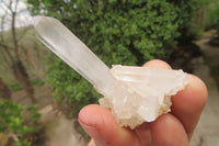 Natural Clear Quartz Clusters x 35 From Madagascar - Toprock Gemstones and Minerals 