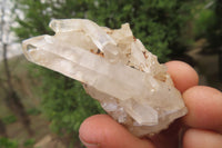 Natural Clear Quartz Clusters x 35 From Madagascar - Toprock Gemstones and Minerals 