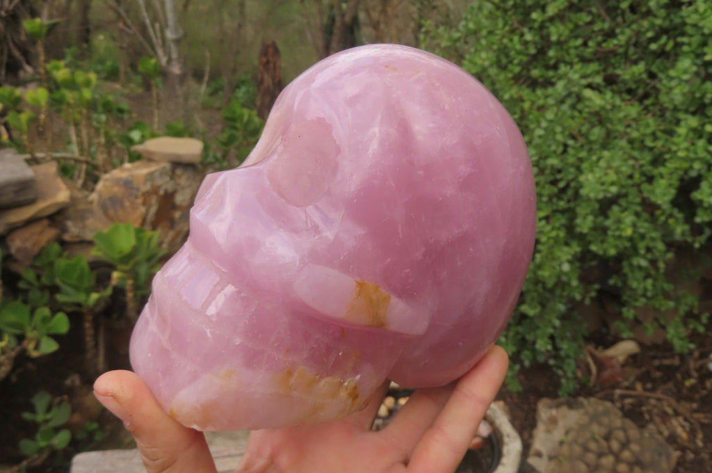 Hand Made Rose Quartz Skull Carving x 1 From Madagascar - Toprock Gemstones and Minerals 