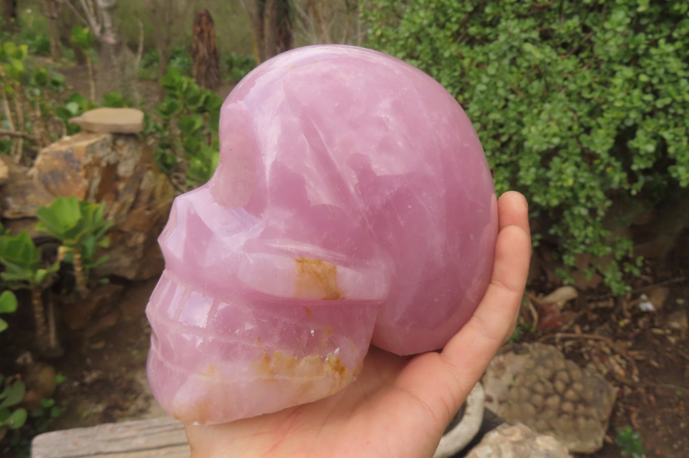 Hand Made Rose Quartz Skull Carving x 1 From Madagascar - Toprock Gemstones and Minerals 