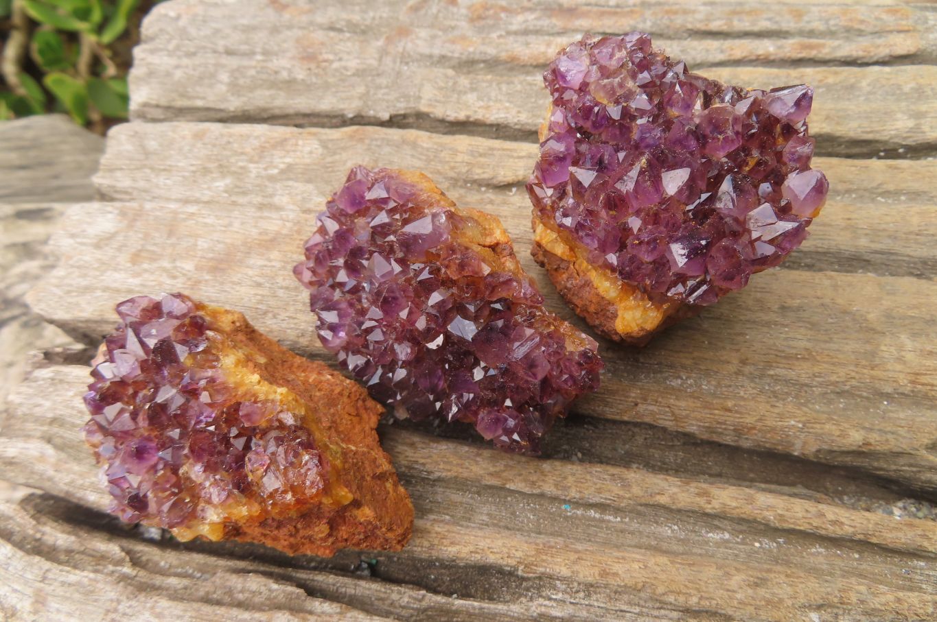Natural Amethystos Amethyst Specimens x 12 From Kwaggafontein, South Africa - Toprock Gemstones and Minerals 