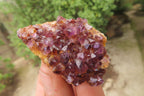 Natural Amethystos Amethyst Specimens x 12 From Kwaggafontein, South Africa - Toprock Gemstones and Minerals 